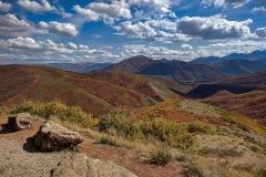 IMG_20211004_145022109_HDR