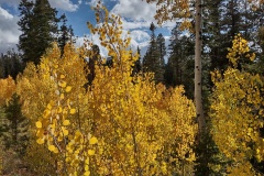 IMG_20211006_162423966_HDR