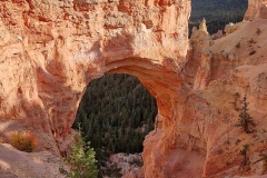 IMG_20211006_164344006_HDR