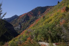 IMG_0523