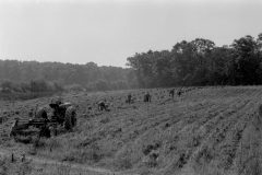 Roll-49-8