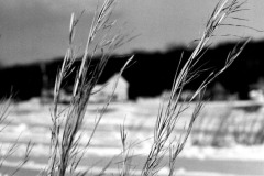 BETHPAGE_PARK_1960