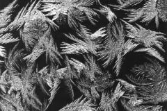 ICE_CRYSTALS_UNDATED