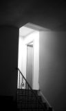 Roll-21-10