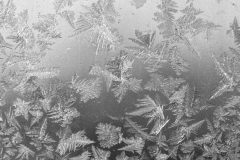 Roll-35-13